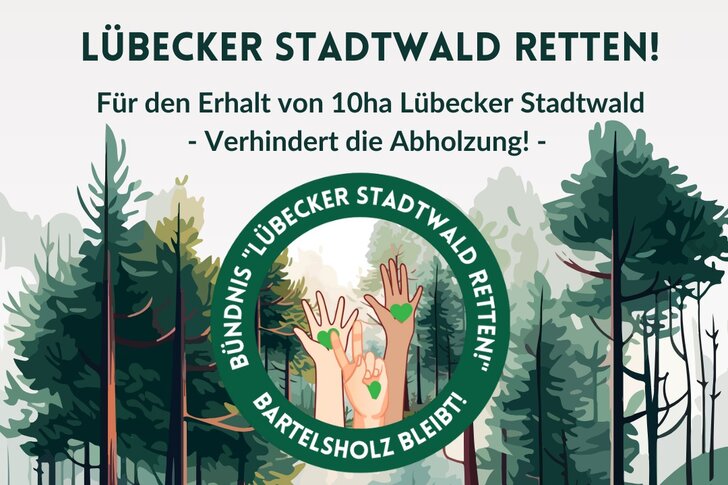 10 Hektar Lübecker Stadtwald retten - Verhindert die Rodung für die TenneT-Trasse