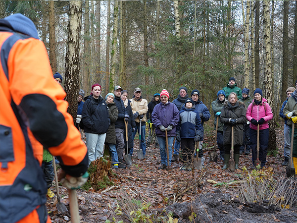 20251122 teaser lauerholz