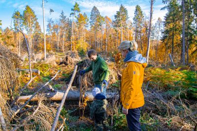 Buddeln Mit Stadtwerken-