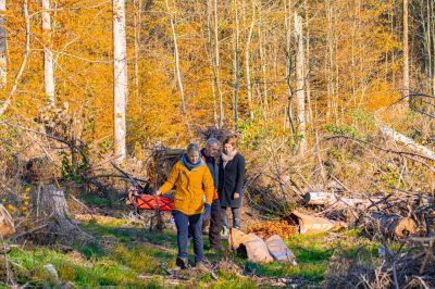 Buddeln Mit Stadtwerken-